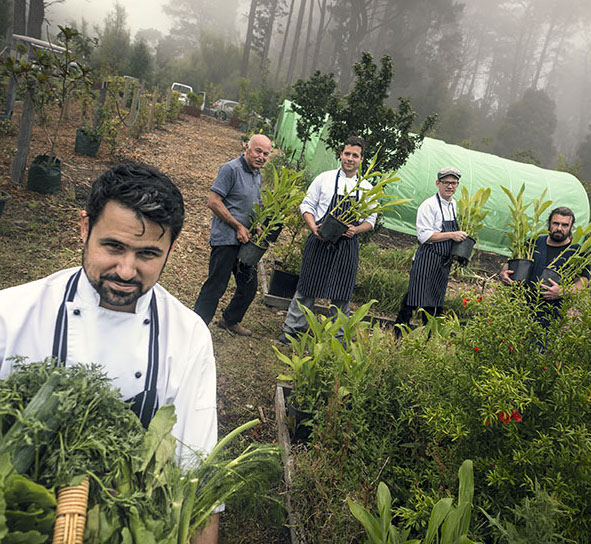 Parklands Country and Garden Lodges  