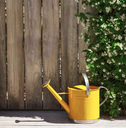 Ray White Blackheath 