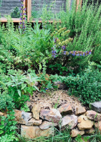 Werona Eco Friendly Blue Mountains Cottage