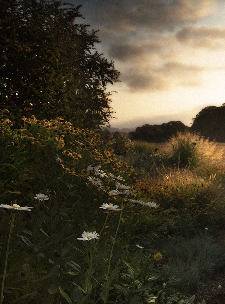 Feathermark Photography, Tracy Ponich.